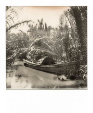 SX70 - Ben Tree - Mekong river